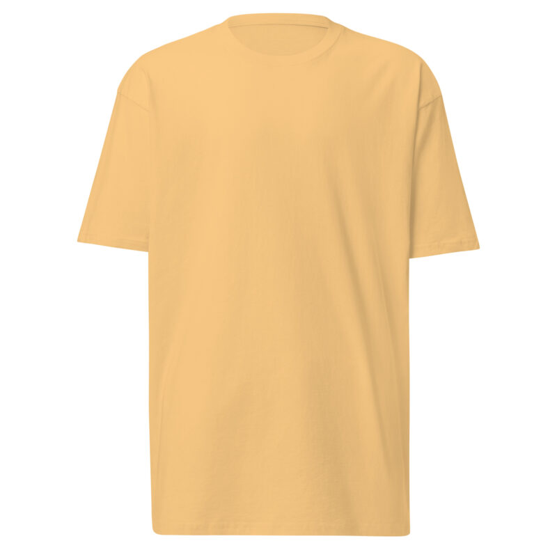 Solld – Men’s premium heavyweight tee 11