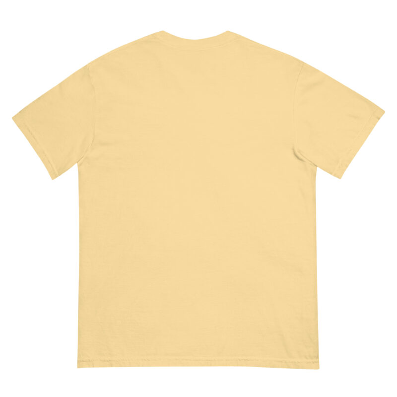 Fitness Addiction Unisex Heavyweight Garment‑Dyed Tee 13