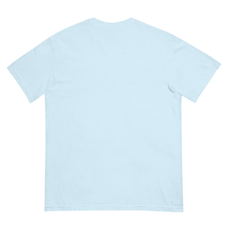 Fitness Addiction Unisex Heavyweight Garment‑Dyed Tee 15