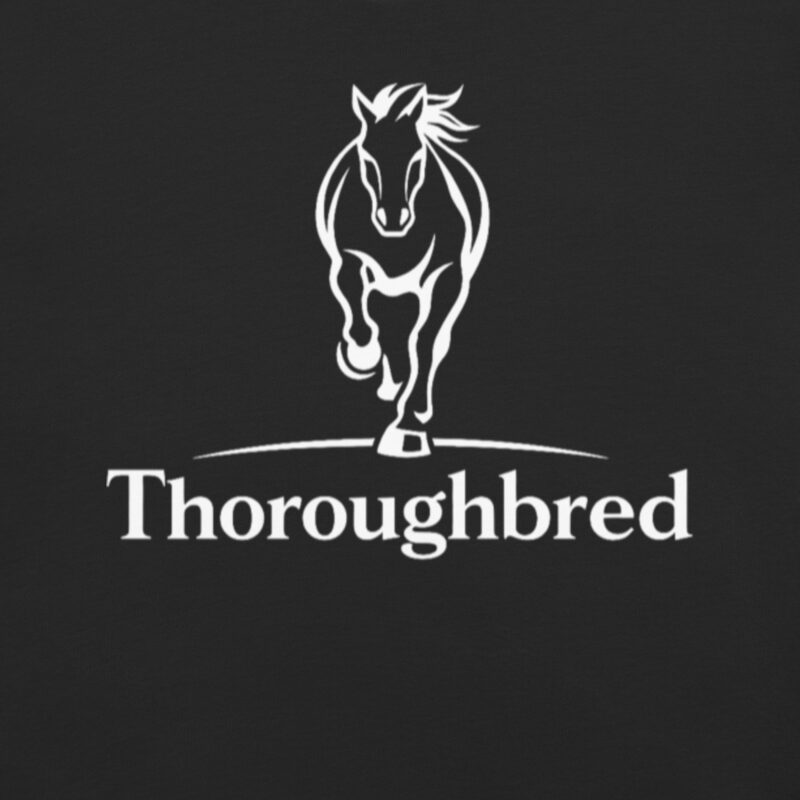 Thoroughbred Heavyweight Garment-Dyed T-Shirt 5