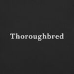 Thoroughbred Heavyweight Garment-Dyed T-Shirt 4